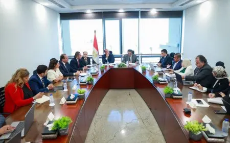 وزير الخارجية يؤكد أهمية قطاع الدواء كركيزة رئيسية للتعاون المصري مع الدول الأفريقية