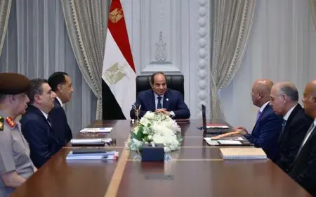 الرئيس السيسي يتابع أحدث التطورات في إنشاء وتحديث وإدارة الموانئ في مصر