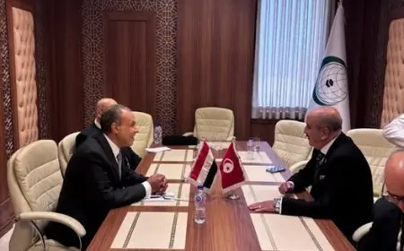 تعزيز العلاقات الثنائية بين مصر وتونس من خلال مباحثات وزيري الخارجية حول التطورات الإقليمية