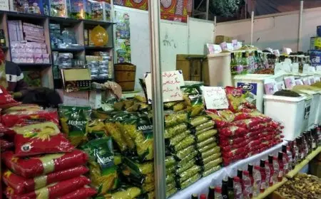 مجلس الوزراء يسلط الضوء على جهود ضبط الأسواق وتوفير السلع بجودة عالية وبأسعار مناسبة