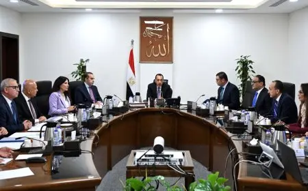 مدبولي يكشف عن استراتيجيات تنفيذ مشروعات الكهرباء في المدن الجديدة بالتعاون مع القطاع الخاص