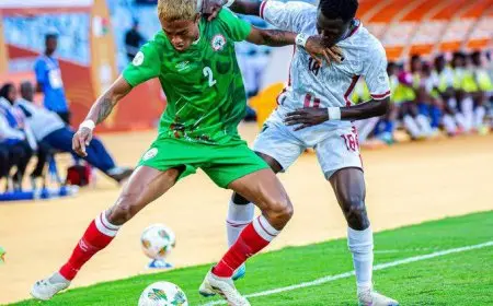 مدغشقر تتفوق على السودان وتحقق التأهل إلى نهائي بطولة أمم أفريقيا للمحليين