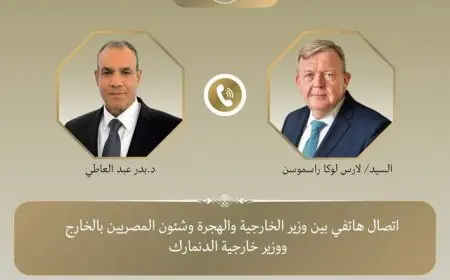 وزير الخارجية يناقش مع نظيره الدنماركي خطة وقف إطلاق النار في غزة