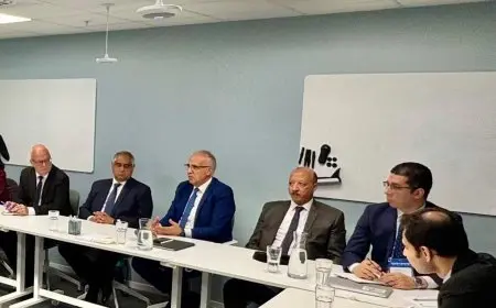 وزير الري يلتقي ممثلي مجلس التجارة والاستثمار السويدي لتعزيز استخدام التكنولوجيا في قطاع المياه