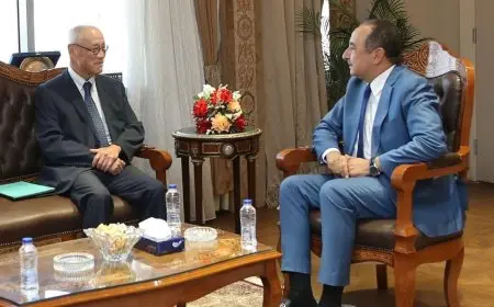 وزير قطاع الأعمال يستقبل السفير الياباني في القاهرة لتعزيز فرص التعاون الاقتصادي المصري الياباني