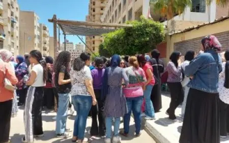نتيجة الثانوية العامة 2025 الدور الثاني للأنظمة الحديثة والقديمة متاحة الآن على موقع وزارة التعليم