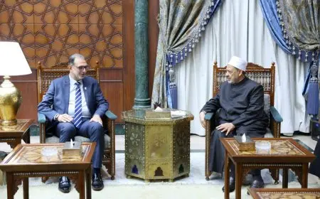 شيخ الأزهر يرحب برئيس الهيئة القومية لسلامة الغذاء لاستكشاف آفاق التعاون المشترك