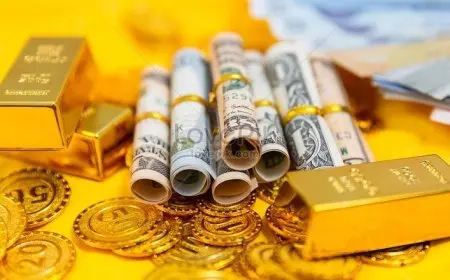 مصطفى بكري يؤكد أن خفض الفائدة وانخفاض سعر الدولار سيؤديان إلى تراجع الأسعار