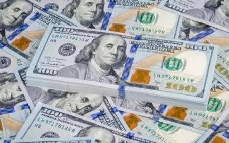 تحديث أسعار الدولار مقابل الجنيه المصري اليوم الجمعة 29 أغسطس 2025