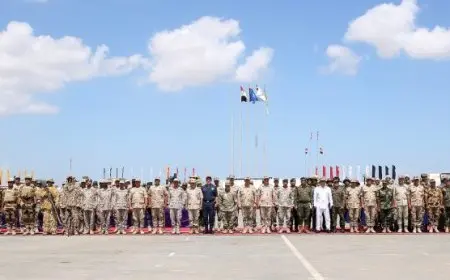 انطلاق تدريبات النجم الساطع 2025 بمشاركة 44 دولة في التعاون المصري الأمريكي