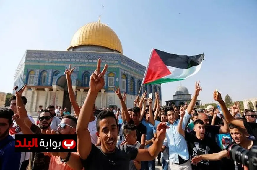 رئيس فنلندا يؤكد قبوله الاعتراف بدولة فلسطين إذا قدمت الحكومة مقترحا بذلك