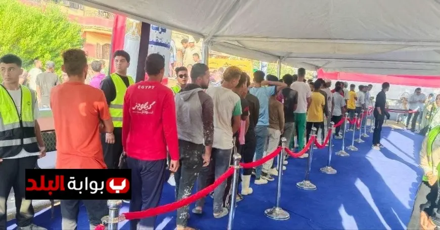 الشباب يتصدرون الصفوف الأولى في لجان انتخابات الشيوخ بالتجمع الخامس