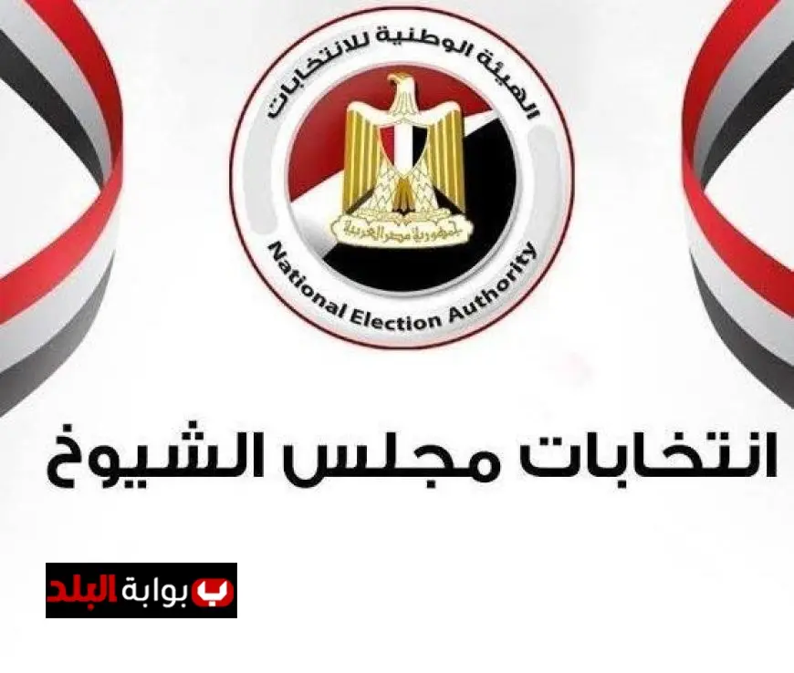 مظلات ومراوح تبث الحياة في انتخابات الدقهلية وسط المنافسة على 6 مقاعد