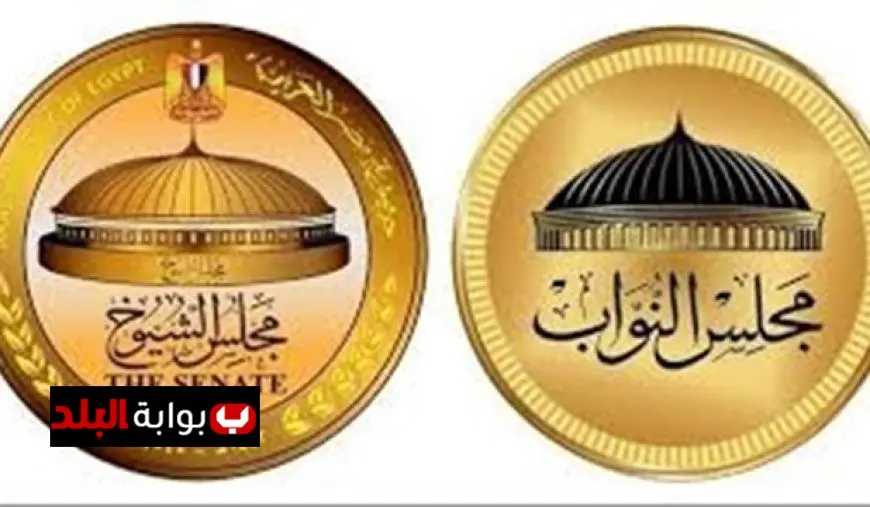 اكتشف الفرق بين مجلس النواب ومجلس الشيوخ مع أستاذ القانون الدولي