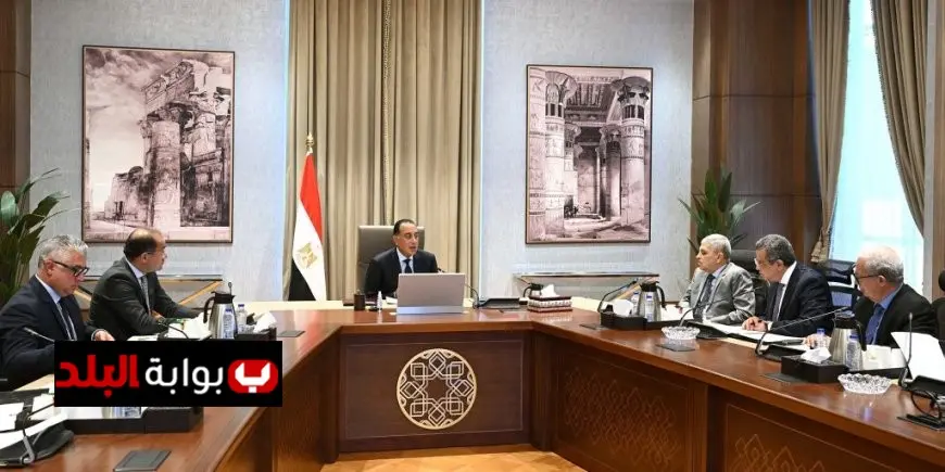 مدبولي يستعرض استراتيجيات مبتكرة لإعادة هيكلة الهيئات الاقتصادية