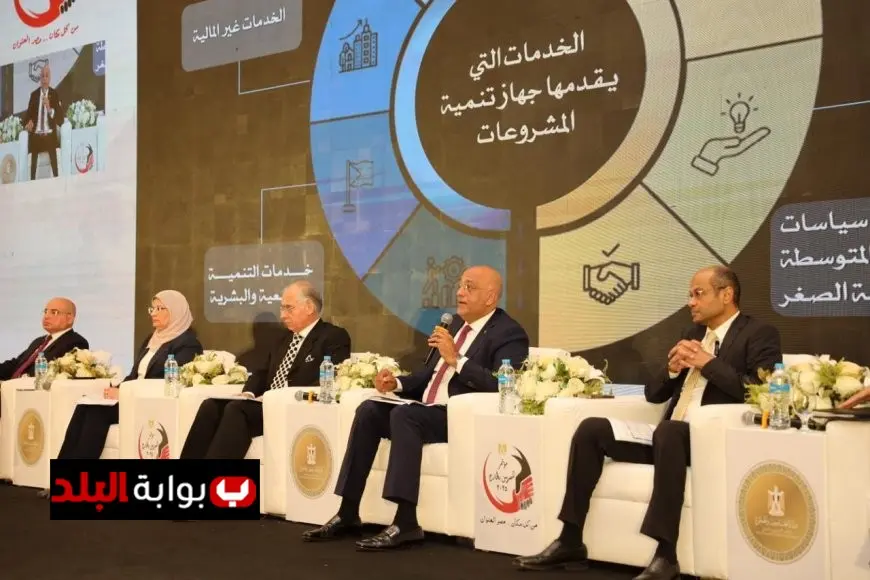 باسل رحمي يعلن عن فرص استثمارية واعدة للمصريين في الخارج في مجال المشروعات الصغيرة