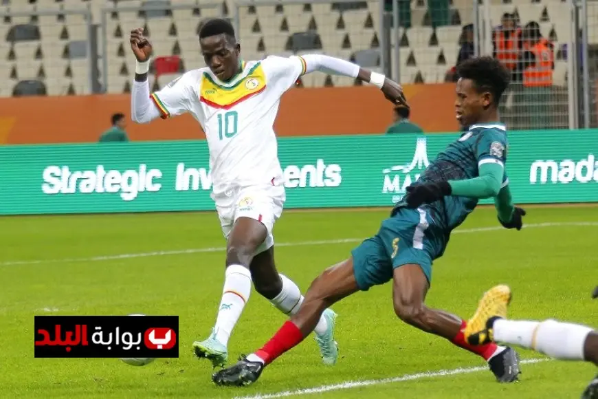 صدام قوي اليوم بين السنغال ونيجيريا في بطولة أمم أفريقيا للمحليين