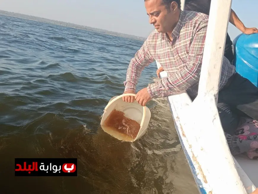 دعم بحيرة قارون بمليون يرقة جمبري لتعزيز الثروة السمكية وتحسين البيئة البحرية صور