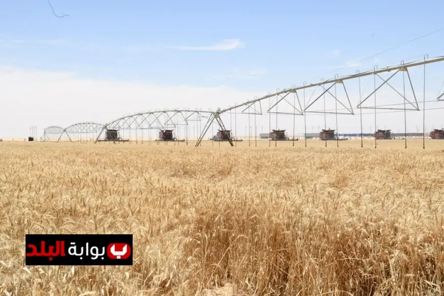 محافظ بني سويف يعلن استلام 284100 طن من الأقماح المحلية في الصوامع والشون منذ بدء الموسم الزراعي