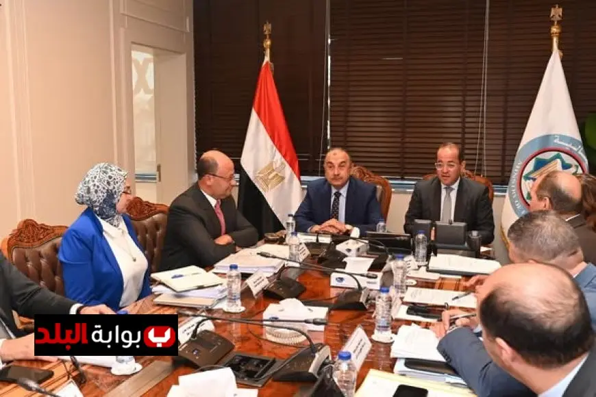 وزيرا قطاع الأعمال والمالية يستعرضان سبل زيادة عوائد أصول الدولة