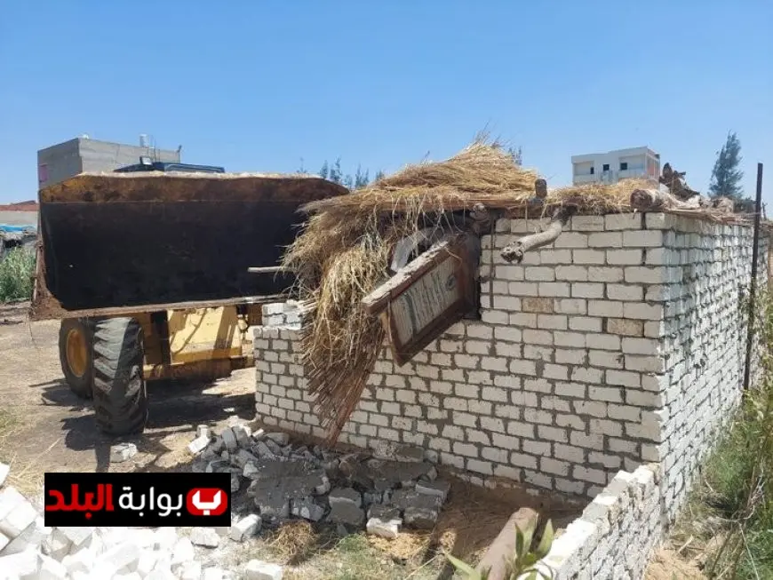 بدء المرحلة الأولى من الموجة الـ27 حملات إزالة التعديات على الأراضي الزراعية في كفر الشيخ