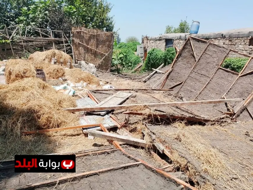 محافظ الدقهلية يؤكد أن التعديات خط أحمر ويشدد على ضرورة التنفيذ الفوري للإزالات لردع المخالفين