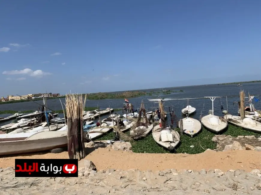 وزارة الزراعة توضح أسباب نفوق الأسماك في مزارع بحيرة المنزلة وتأثير الحرارة عليها