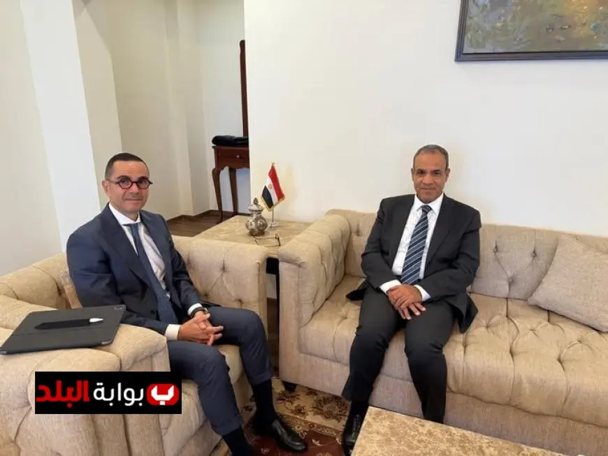 وزير الخارجية يسعى لتعزيز التواجد الاقتصادي المصري في إفريقيا من خلال لقائه مع وزير الاستثمار