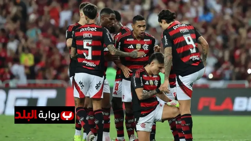 تنافس قوي على لقب الدوري البرازيلي بين فلامينجو وبالميراس