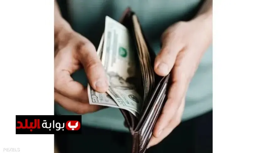 سونيا الحبال تكشف كيف يعزز تنظيم الأموال في المحفظة طاقتها ويسرع نموها