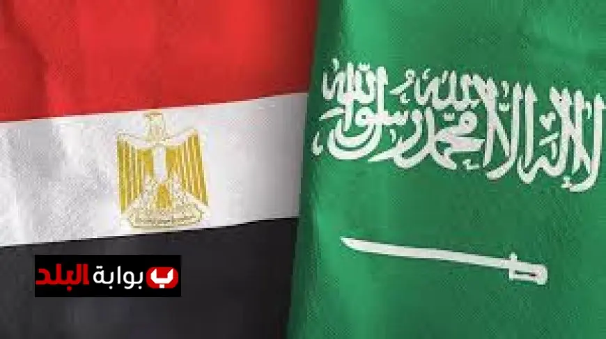 وحدة الصف: أهم تفاصيل اجتماع الرئيس السيسي مع الأمير محمد بن سلمان