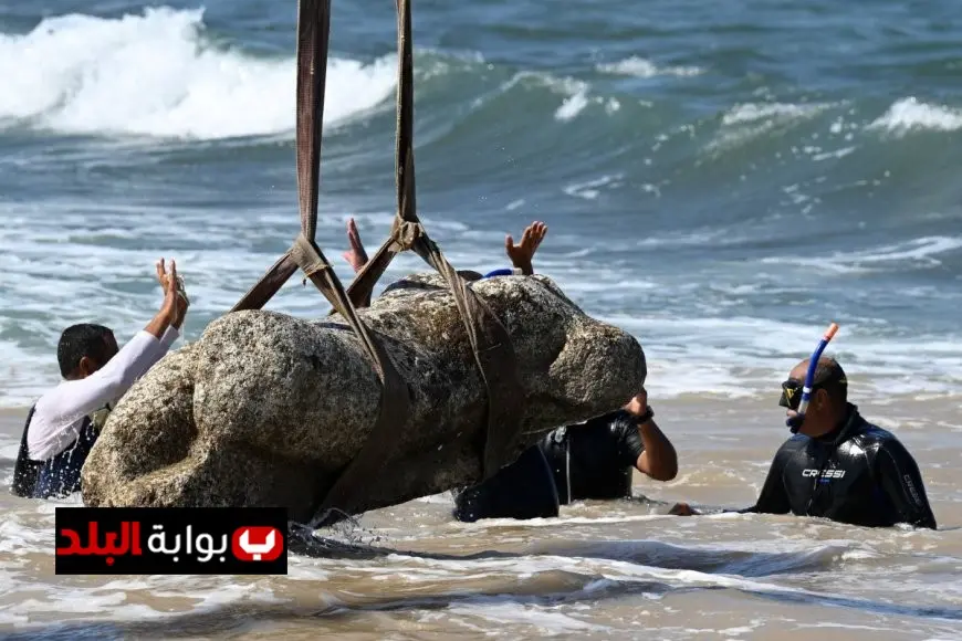 اكتشاف مذهل في أبو قير آثار غارقة تضم تمثالاً بطلمياً وحطام سفينة قديمة