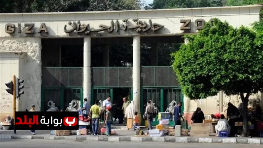أعمال تطوير شاملة لا تتوقف في حديقة الحيوان بالجيزة لتعزيز تجربة الزوار