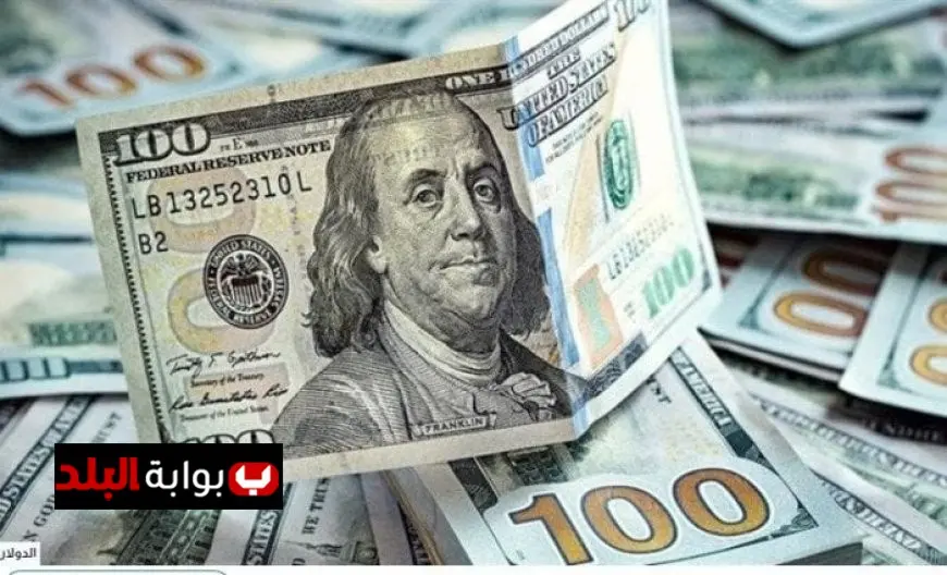 سعر الدولار في مصر اليوم الأحد 24 أغسطس 2025 أحدث المعلومات والتحديثات