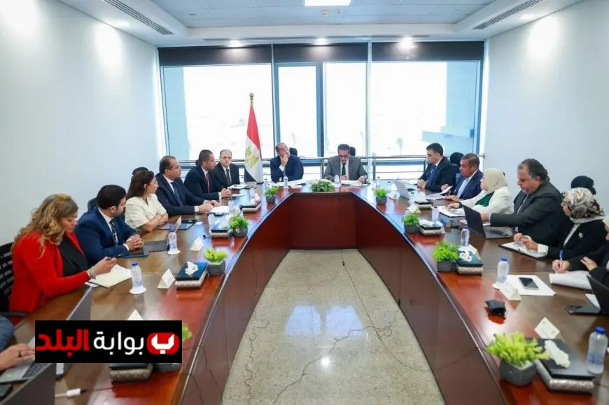 وزير الخارجية يؤكد أهمية قطاع الدواء كركيزة رئيسية للتعاون المصري مع الدول الأفريقية