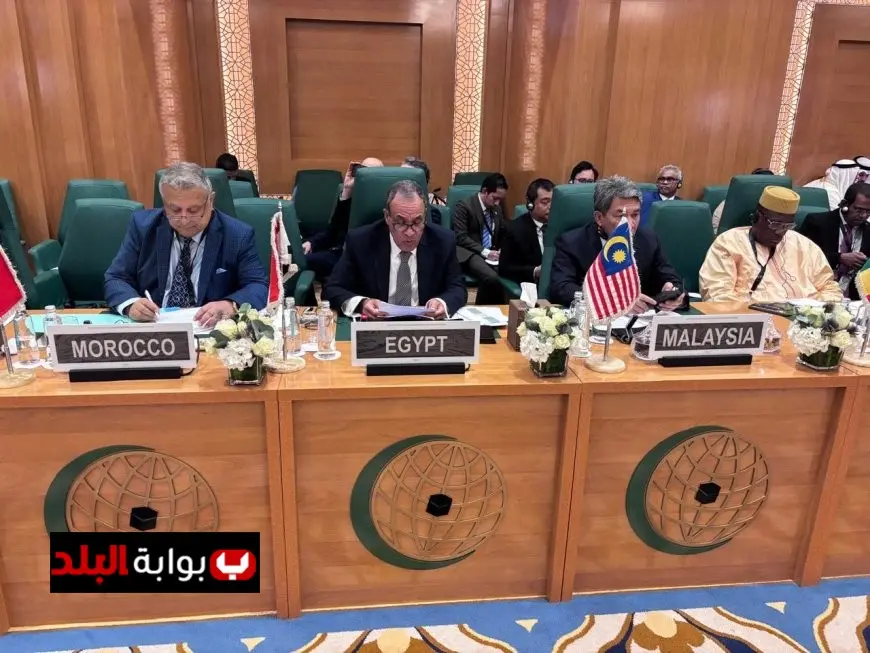 مصر تدعو المجتمع الدولي للضغط على إسرائيل لوقف الأعمال العسكرية وتسهيل وصول المساعدات الإنسانية