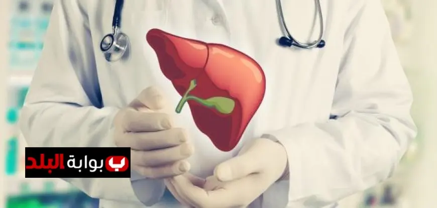 نسبة نجاح زراعة الكبد في مصر وهل يستحق الأمر متابعة الدكتور محمد عبد الوهاب يوضح الحقيقة