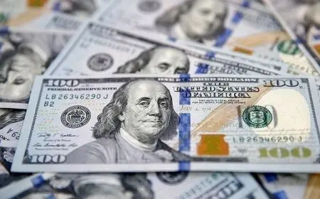 تحديث سعر الدولار مقابل الجنيه المصري اليوم الإثنين 1 سبتمبر 2025