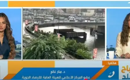الأرصاد الجوية تعلن موعد انتهاء الصيف رسميا في 21 سبتمبر وتكشف حقيقة شائعات الشتاء القارس