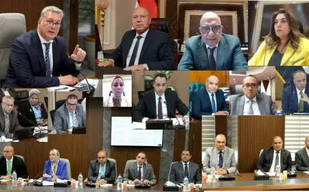 زيادة إنتاج السولار إلى 760 ألف طن سنويًا لتلبية نصف احتياجات جنوب ووسط الصعيد حسب وزارة البترول