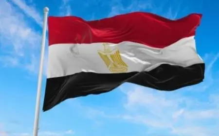 مصر تعبر عن إدانتها للتوسع العسكري الإسرائيلي في غزة وتدعو للسلام