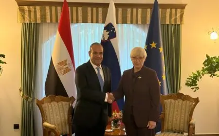 وزير الخارجية يلتقي برئيسة جمهورية سلوفينيا في إطار تعزيز العلاقات الثنائية