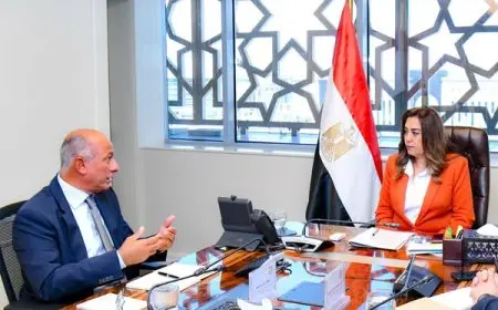 وزيرة التنمية المحلية تناقش التنسيق مع مساعد وزير الخارجية لشئون المناخ والبيئة في اجتماع هام