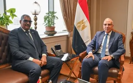 مصر والسودان تتفاوضان حول آخر مستجدات أزمة السد الإثيوبي