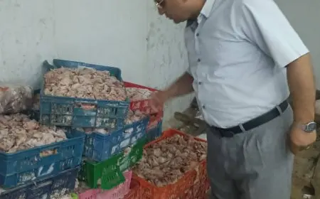 الجيزة تنجح في ضبط 4.5 طن من الدواجن والجلود والدهون الفاسدة الممنوعة من الاستهلاك البشري