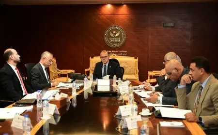 هيئة الرقابة المالية تعتمد تسجيل أربعة مشروعات لخفض انبعاثات الكربون الطوعية في قواعد بياناتها