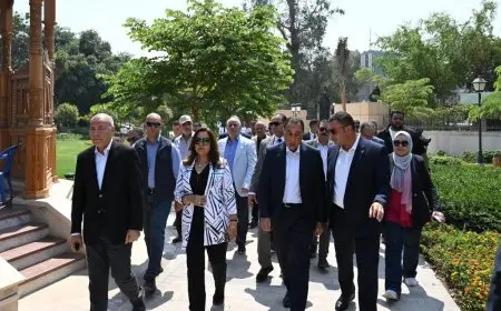 مدبولي يوزع العقود لأصحاب الأكشاك المنقولين من سور الأزبكية لتعزيز مشاريعهم التجارية