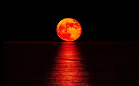 ظهور قمر الدم في سماء مصر اليوم مع تفاصيل مثيرة عن الخسوف الكلي النادر من البحوث الفلكية