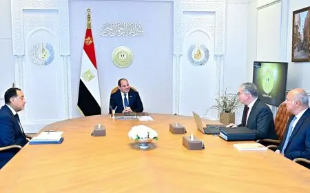 الرئيس السيسي يؤكد على أهمية تطوير الاكتشافات البترولية وإدراجها في خريطة الإنتاج الاقتصادية