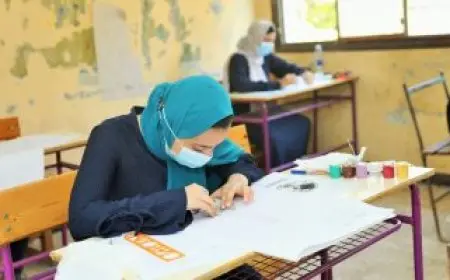 تنسيق الدبلومات الفنية 2025 الهندسة تتصدر بـ 97.3% والتعليم بنسبة 91%